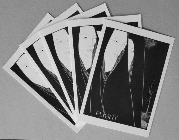 Flight - set of 5 cards, A6